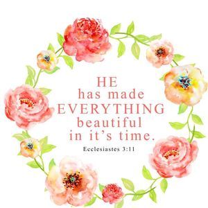 Meet your Posher, Char